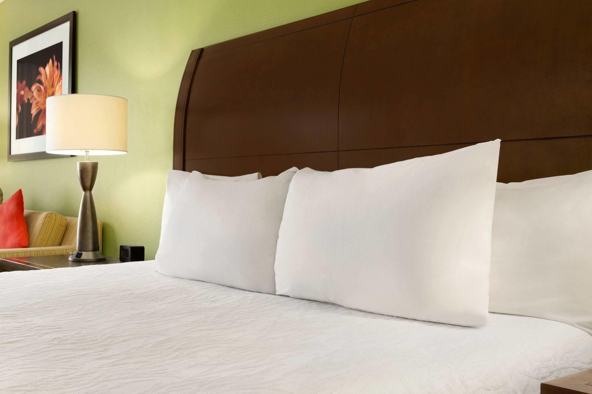 Hilton Garden Inn Atlanta Perimeter Center Dunwoody Extérieur photo